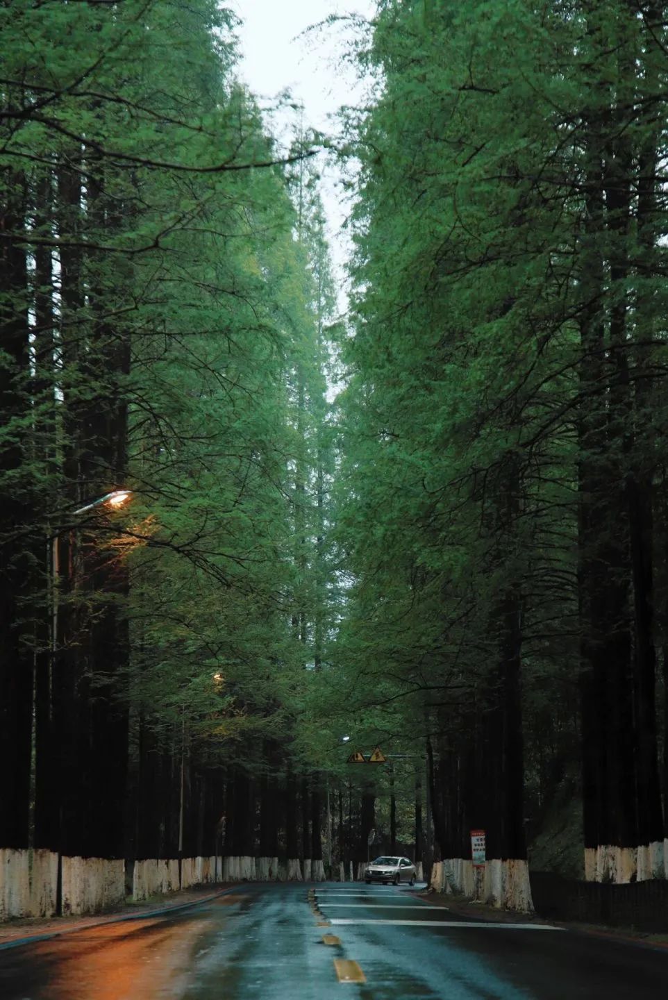 又挖到一座冷门避暑小城，文艺不输松阳，人少景美到哭
