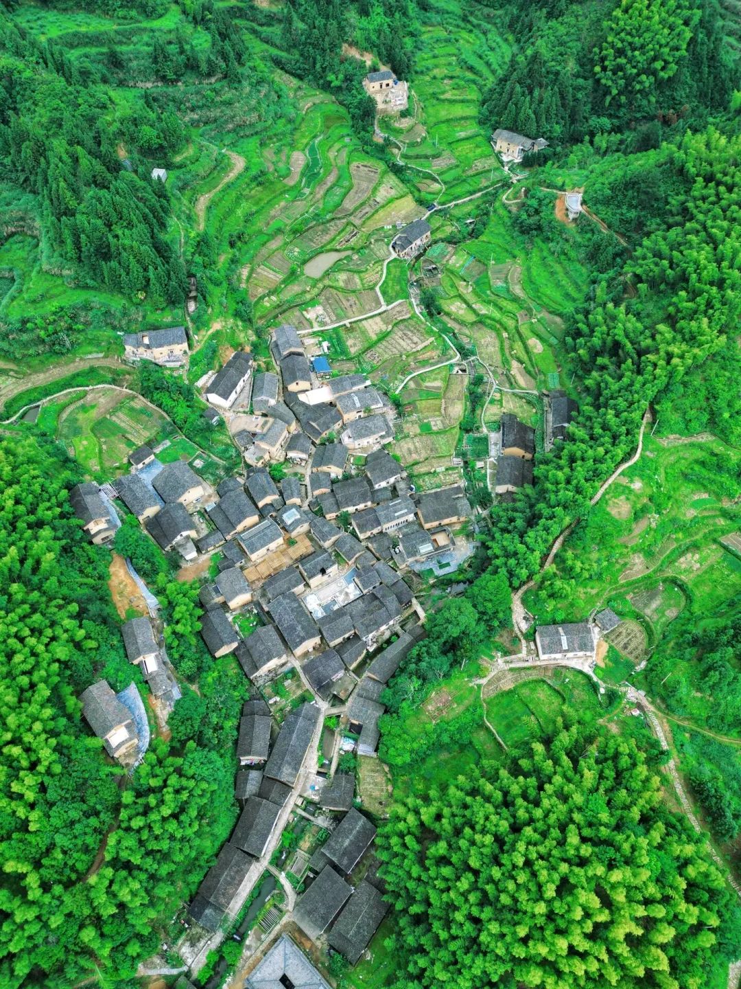 又挖到一座冷门避暑小城，文艺不输松阳，人少景美到哭