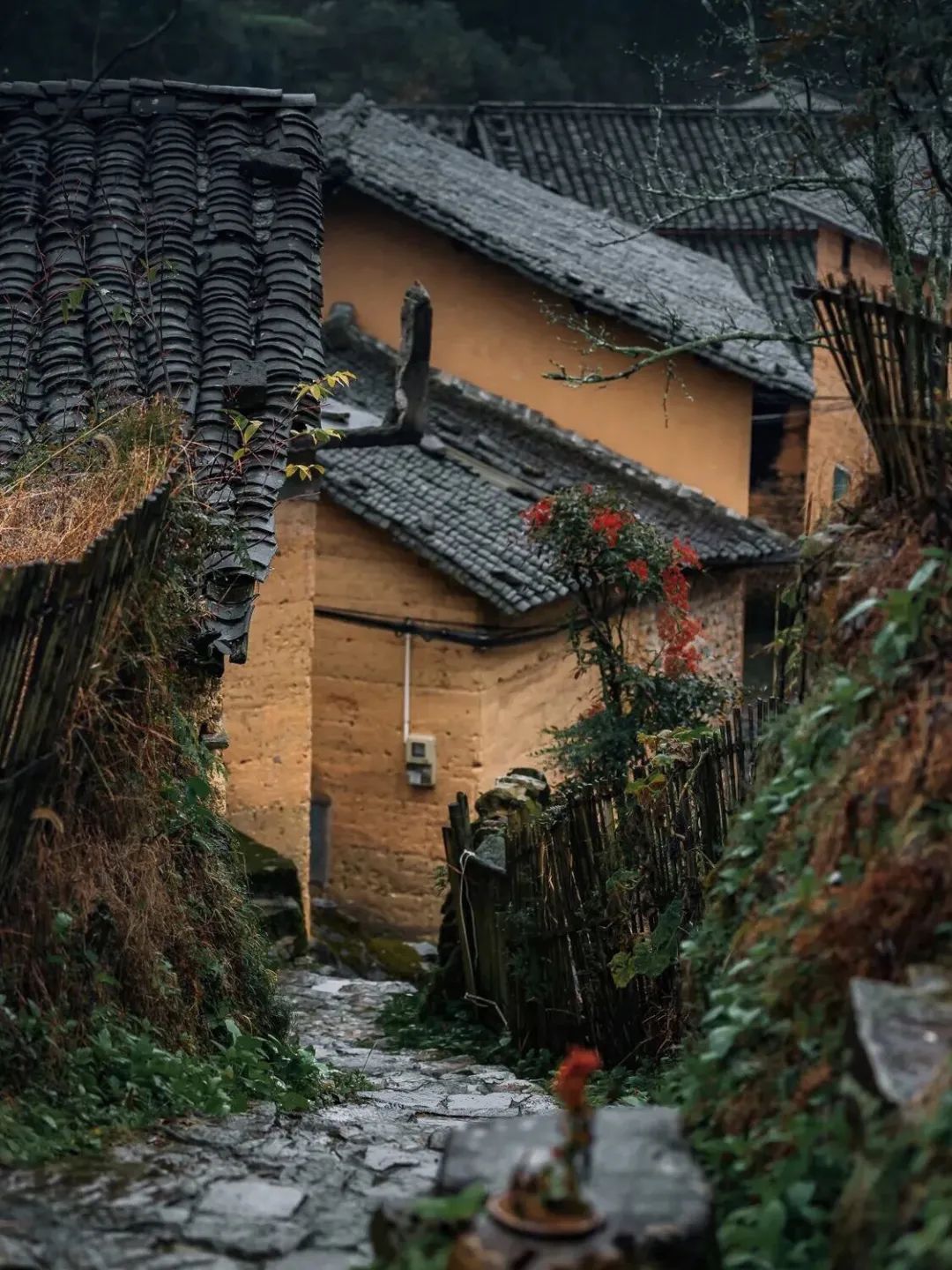 又挖到一座冷门避暑小城，文艺不输松阳，人少景美到哭