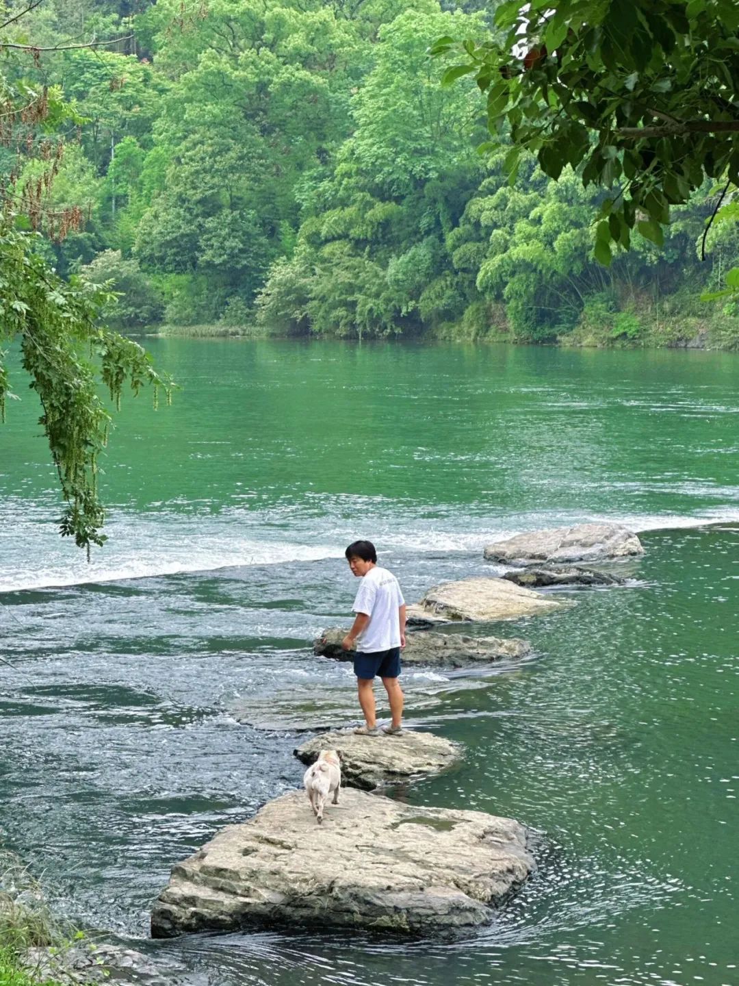 又挖到一座冷门避暑小城，文艺不输松阳，人少景美到哭