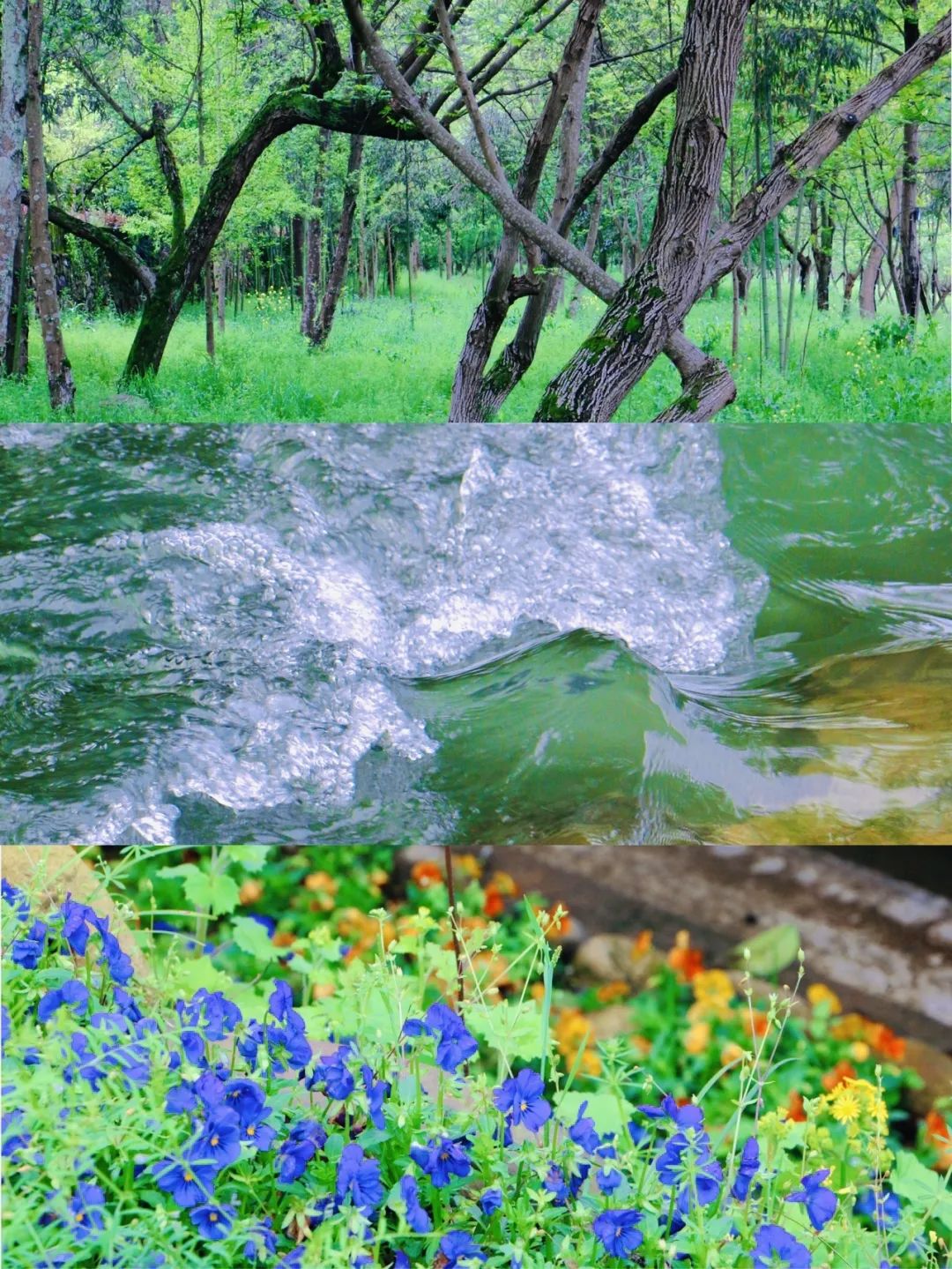 又挖到一座冷门避暑小城,文艺不输松阳,人少景美到哭