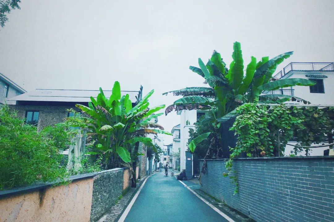 又挖到一座冷门避暑小城，文艺不输松阳，人少景美到哭