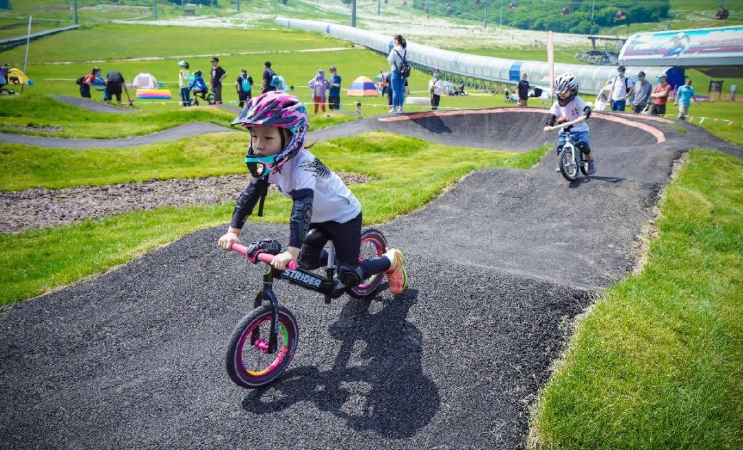 如果你也恰好是这样的人,乐于在蝉鸣的山野林间悠然漫步,欢迎来到北大