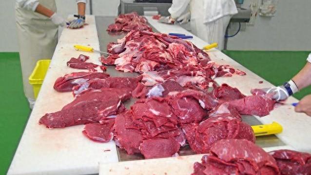 与年初相比降幅达24%，牛肉价格为何“大跳水”?