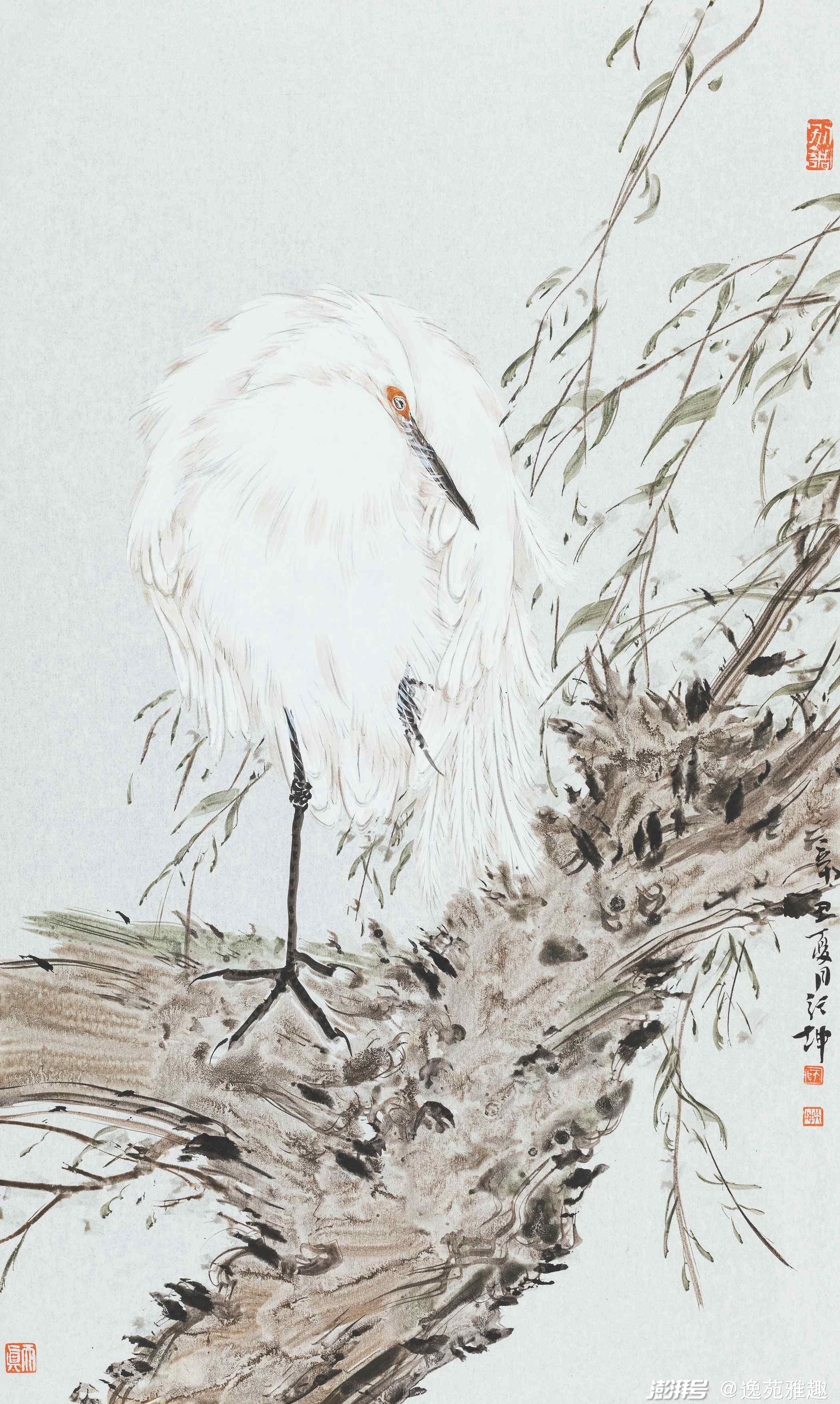 师行坤花鸟画:色彩明丽如诗,画韵唯美动人