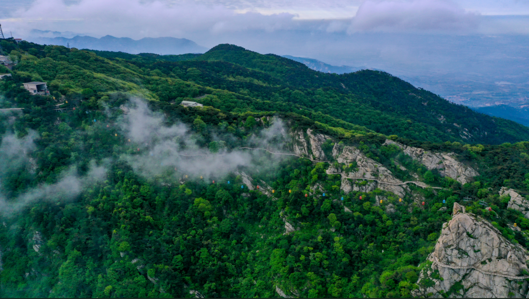 蒙山云蒙景区·森林木栈道白天可以坐拥山林碧空夜晚可以遨游秘境摘星