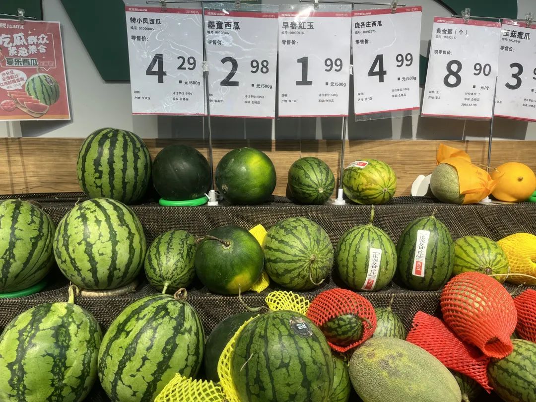 西瓜是怎么来到中国的 505.jpg