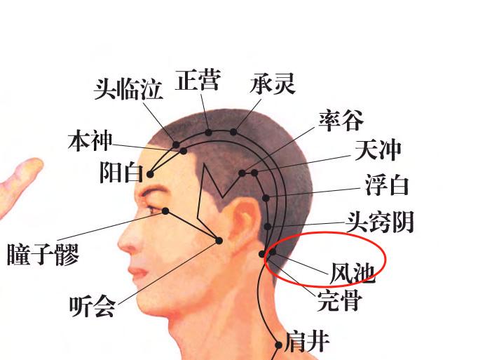 脑供血不足按摩方法图图片