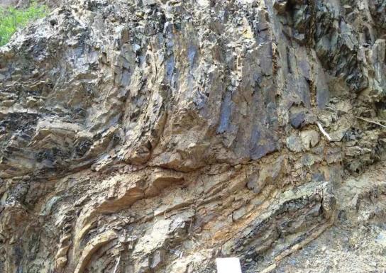 距今5亿年 的岩石在中扬子江汉平原区北部惠亭水库覃家庙群踏勘到了一