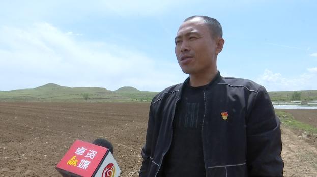 【内蒙午间新闻】卓资县燕麦全生物降解渗水地膜旱作高产示范试验田
