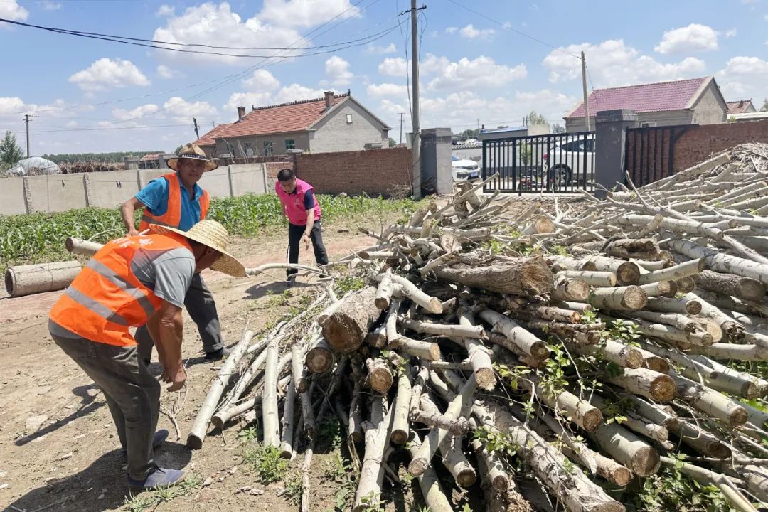 【高质量发展提升年】长岭县新安镇新一村退役军人志愿服务队:乡村