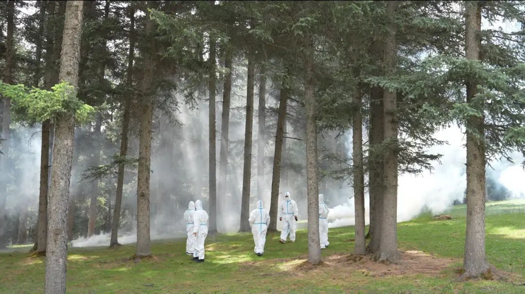 只此青绿 守望三北|祁连山 在三面环沙中筑牢生态屏障