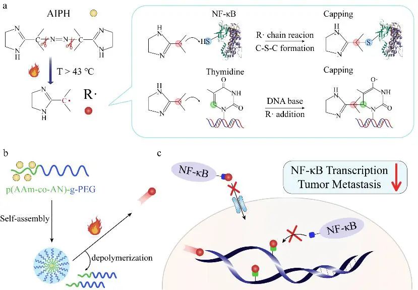 上新!复旦5月科研成果速览