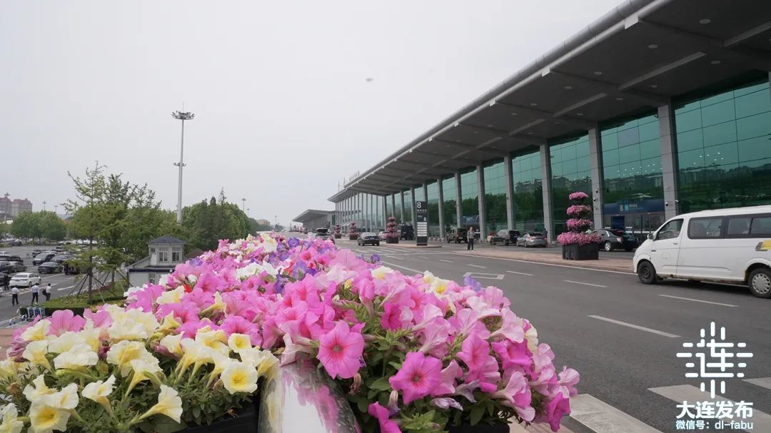 夏季达沃斯窗口!大连机场在行动