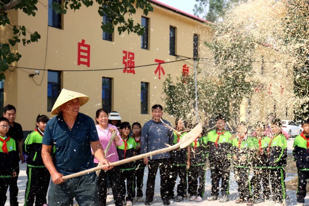 央媒看献县 | 河北献县:学生变身“麦农”体验劳动乐趣_澎湃号·政务_澎湃新闻-The Paper