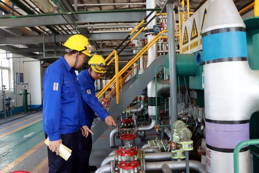 冲刺"双过半",潍坊滨海区产业兴,"脊梁"挺