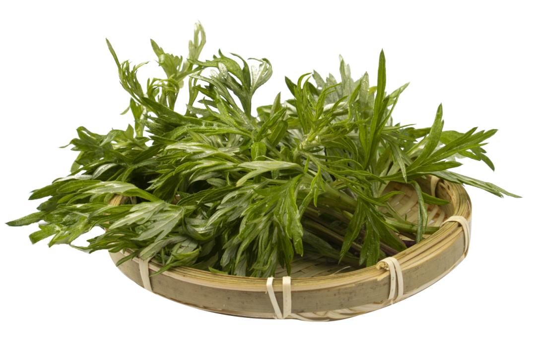 报名从速 |非遗学子行体验艾草薄荷膏制作,助力夏日驱蚊止痒