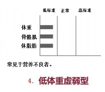 736.jpg
