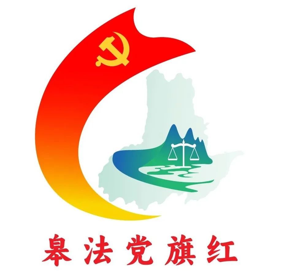 第二党支部联合淠河小学开展法治教育实践活动