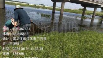 绿会绥化湿地保护地兰西县护渔行动  3小时清理地笼网17个！