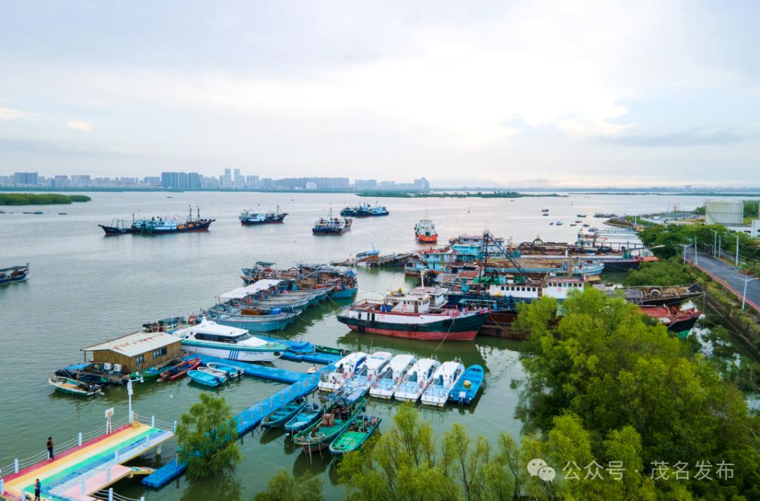 陈村渔港,水东渔港(勤海码头),树仔避风塘,森高避风塘和澳内海停泊区