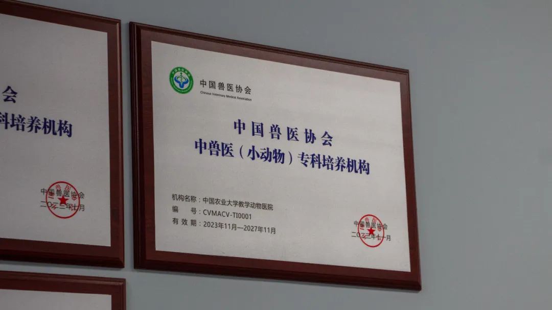 中国农大动物医学院图片