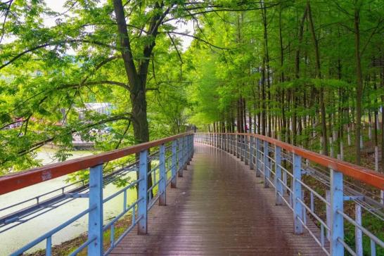 住在风景里,中山这个旅游胜地,美景文化一网打尽