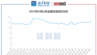 【讀財報】上市豬企5月銷量同比上升3%