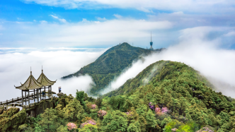 住進梧桐山是什么體驗？｜“三力三區”進行時