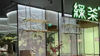 一年前刚分完2亿，网红餐厅绿茶又要冲击上市了