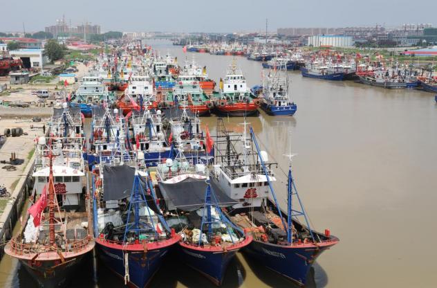 开放·见证发展40年 | 海头镇:砥砺前行奏华章 奋楫扬帆再出发