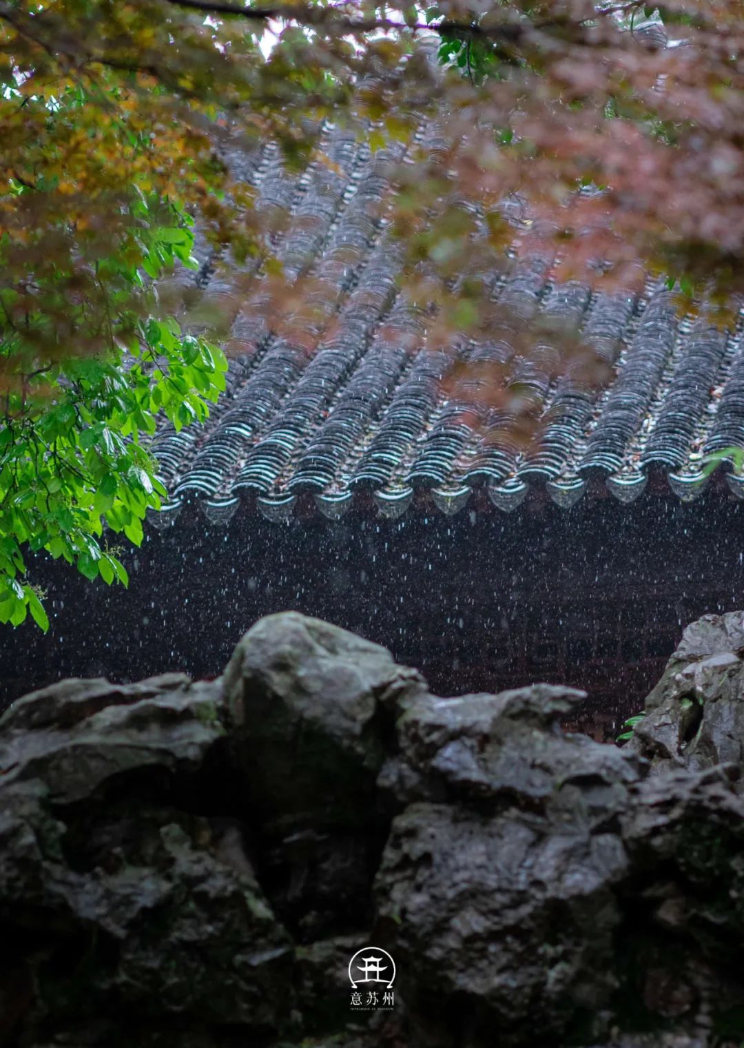 梅雨季的苏州,细雨如诗