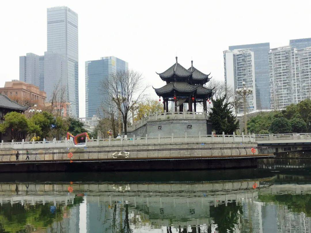 锦江边上有棵树‖莫然