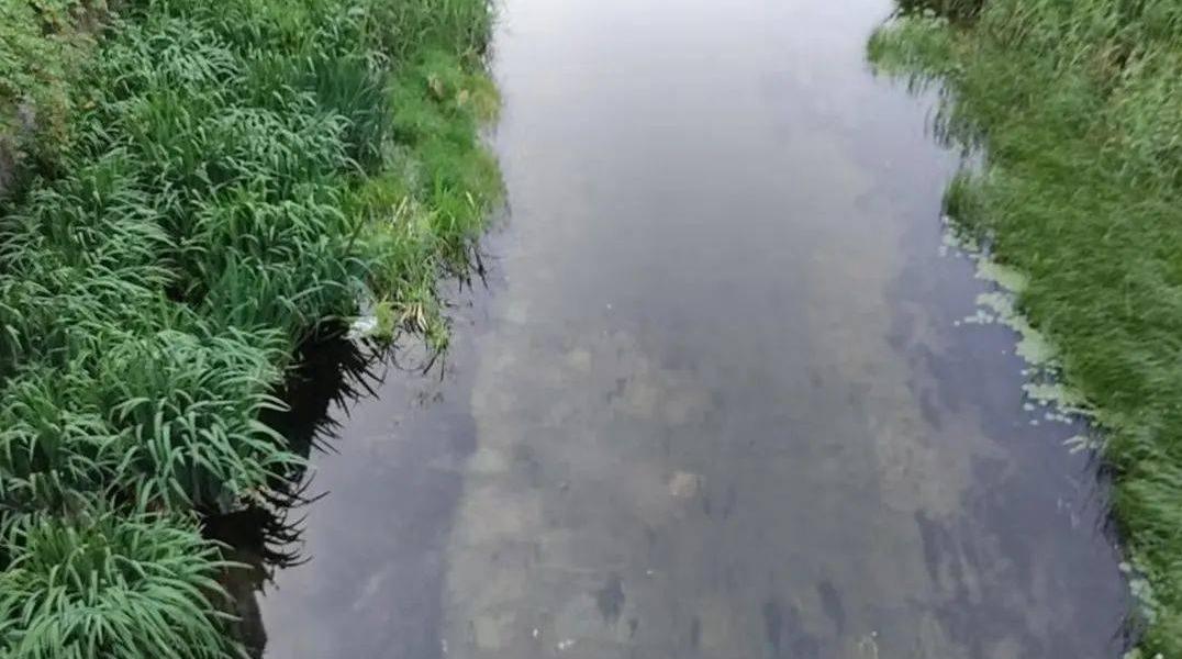 全民监督，让更多“滁河水污染”无所遁行 | 水污染、浪费线索征集