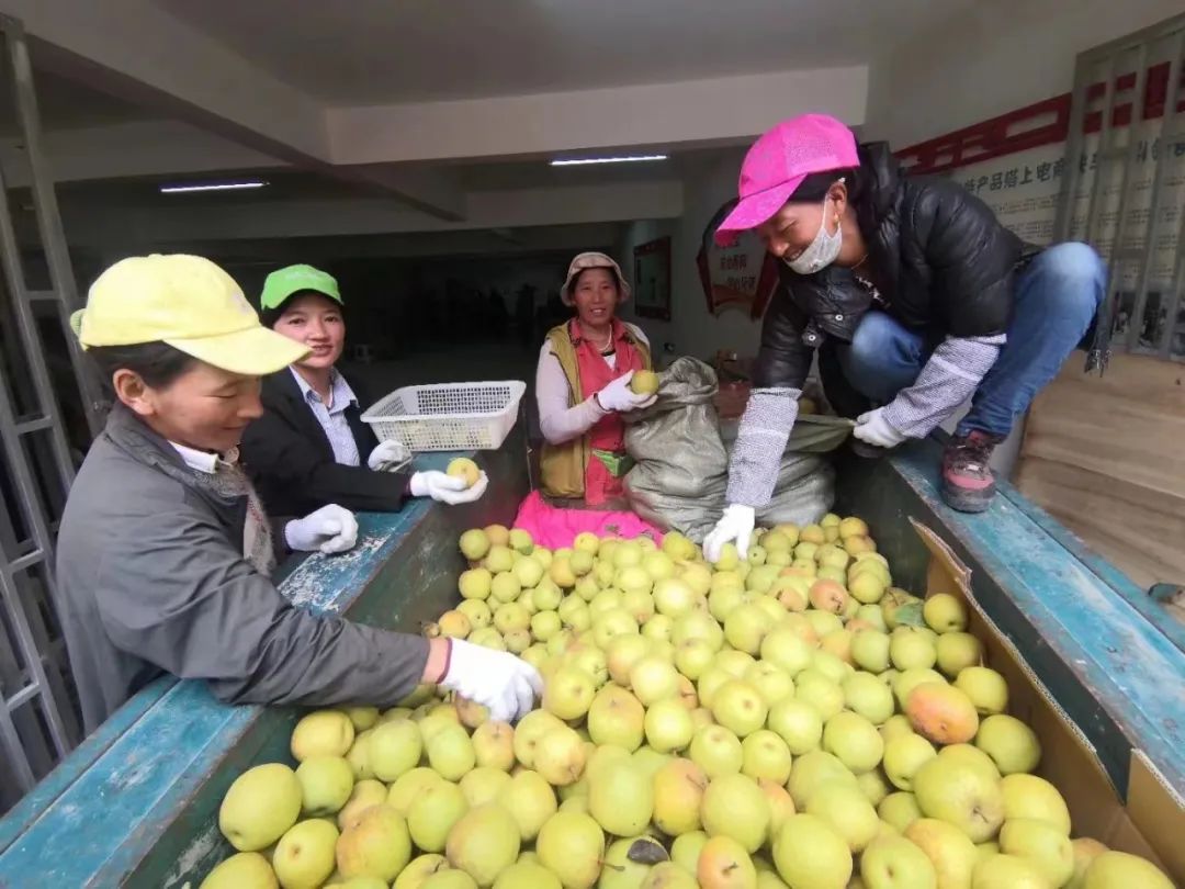 东旺乡:民族团结一家亲 凝心聚力谱新篇