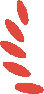 【一周开庭速递】七里河区人民法院6月24日-28日开庭公告