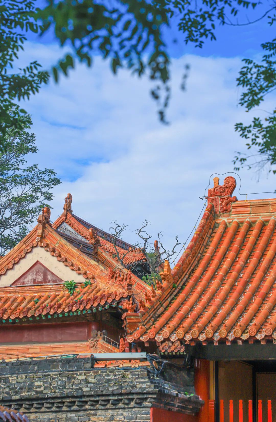 云岗石窟人多不多 881.jpg