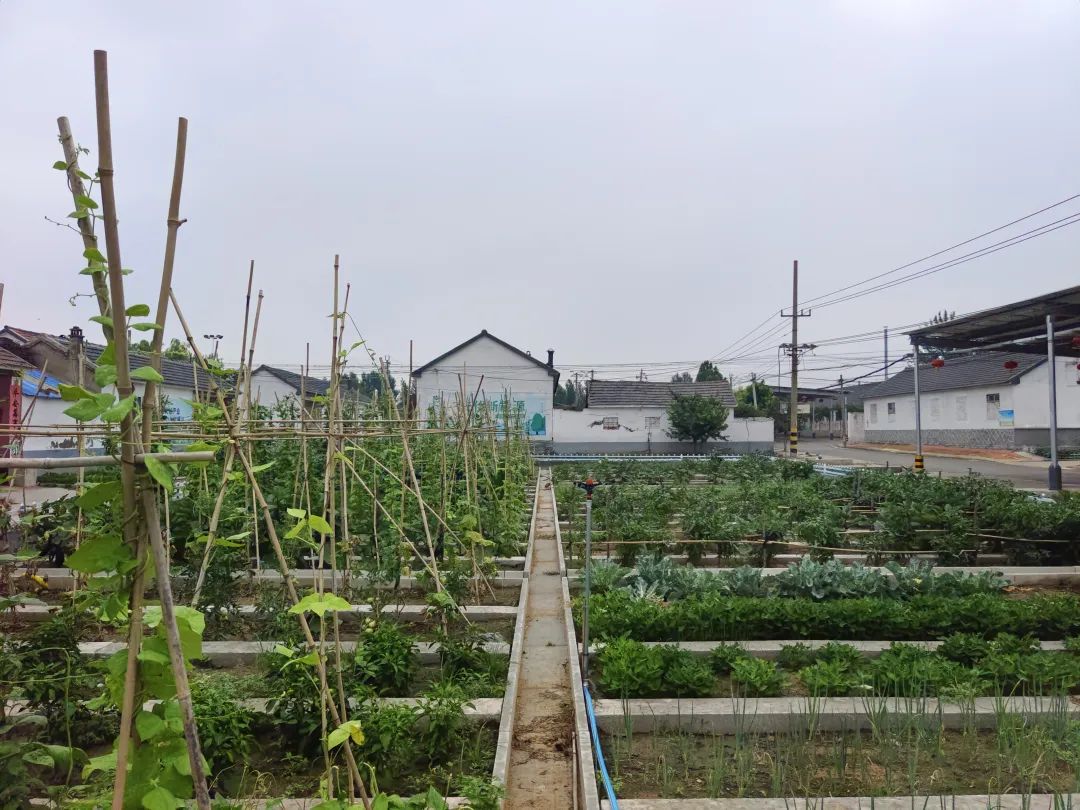 实干担当真作为 一心为民谋福祉——记峡山区岞山街道岞山村党总支