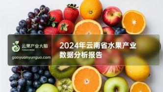 2024年云南省水果产业数据分析简报