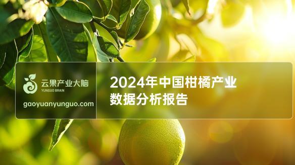 2024年中国柑橘产业数据分析简报