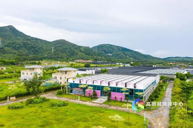 花溪雨蜻度农场部落获评"佛山十佳旅游露营地",旺林艺术花园的"广东