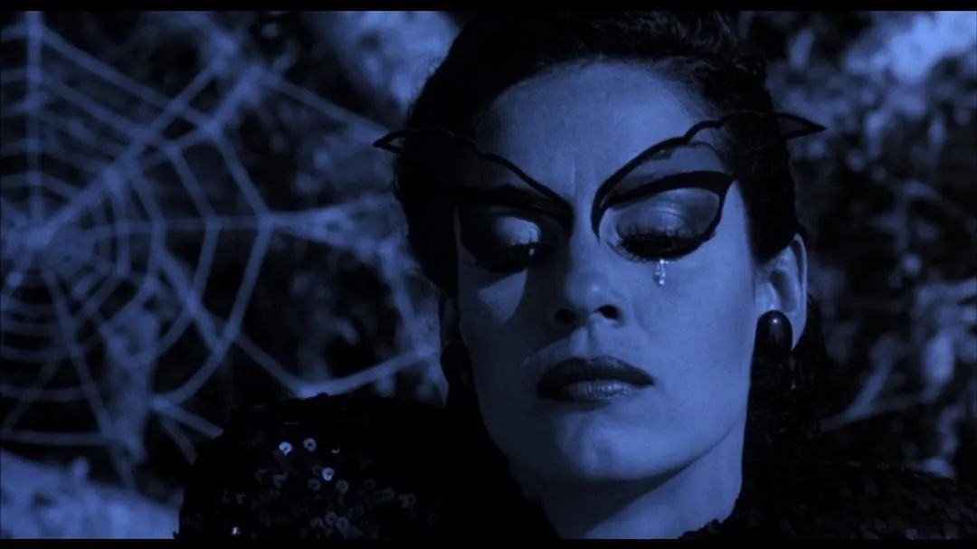 文字丨安之,引文选自《蜘蛛女之吻》,[阿根廷] 曼努埃尔·普伊格 著