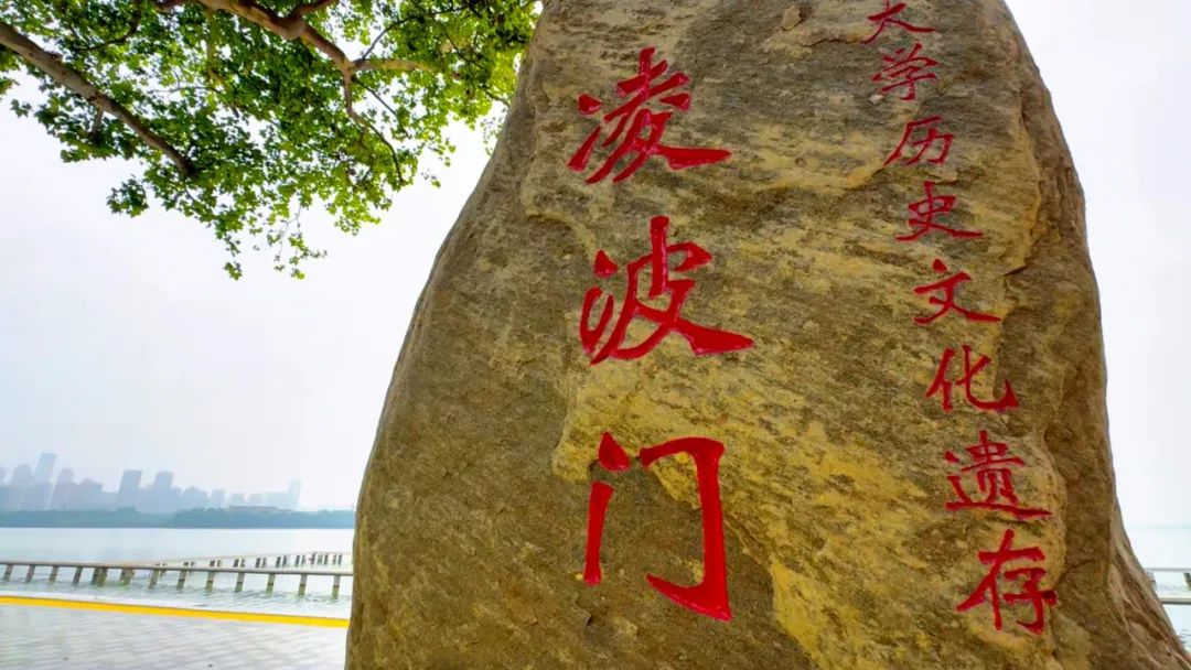 盛宴巨大的"武汉大学"浮出水面凌波门栈桥一到夜晚就有梦幻光影此外