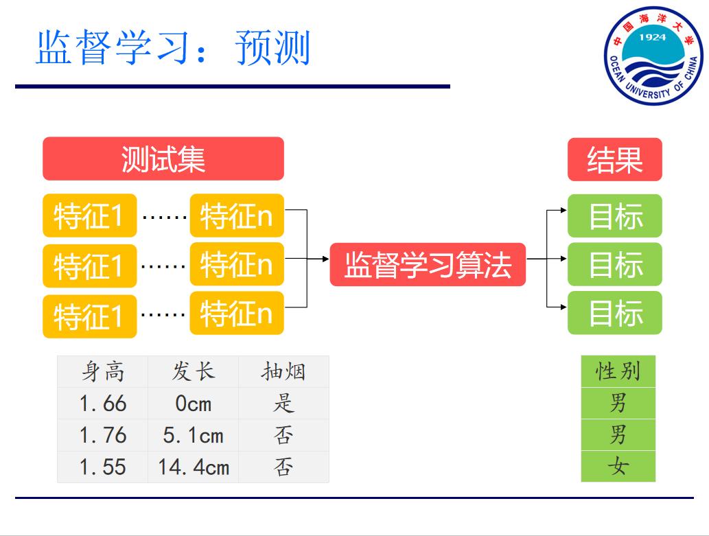 海大开了这门课!