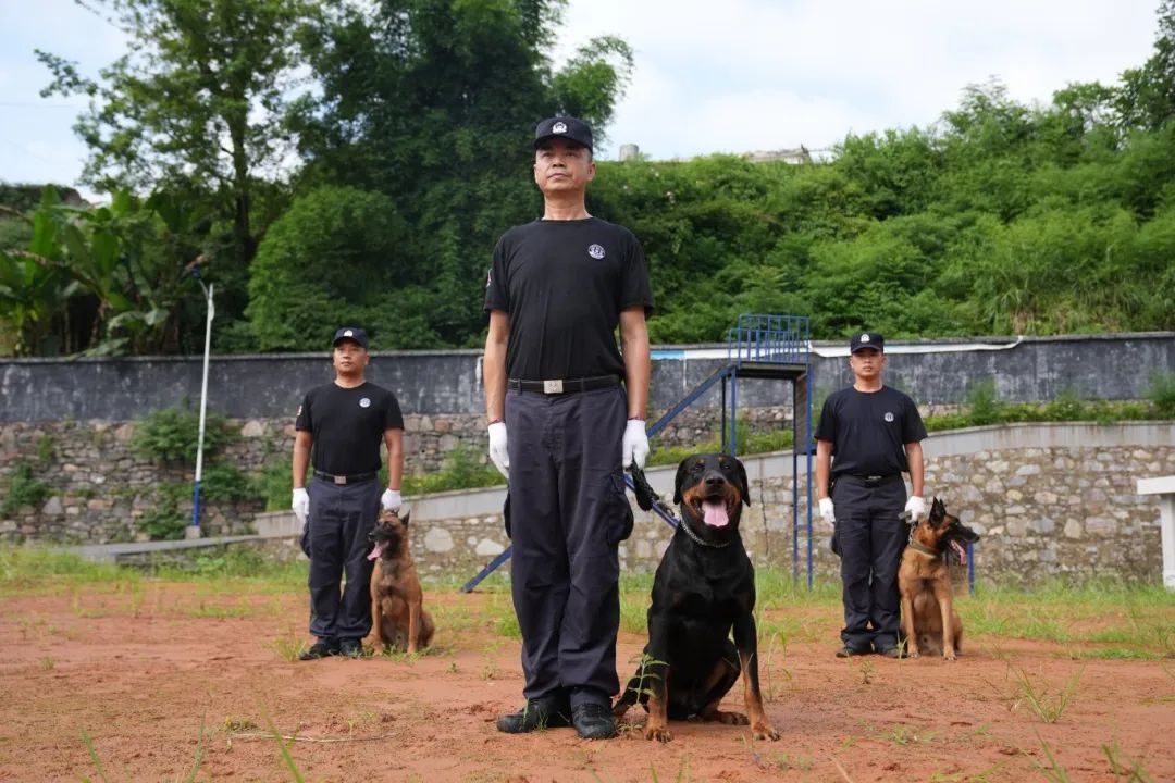 警犬训练基地席清图片