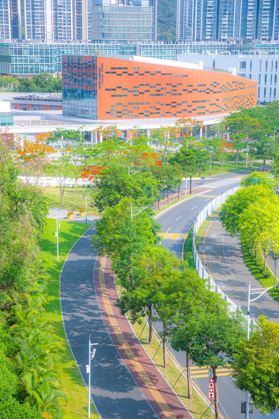 "在深圳读大学,很幸福"