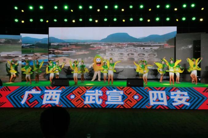 武宣全国夏季"村晚":曲终韵仍在,半是回味,半是期待