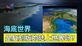 地球上“七三開”的“海陸格局”，究竟是怎樣形成的呢？