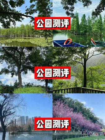 成都公园测评，天府芙蓉园根本逛不完