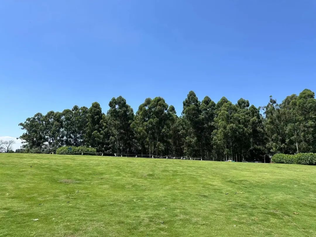 成都公园测评，天府芙蓉园根本逛不完